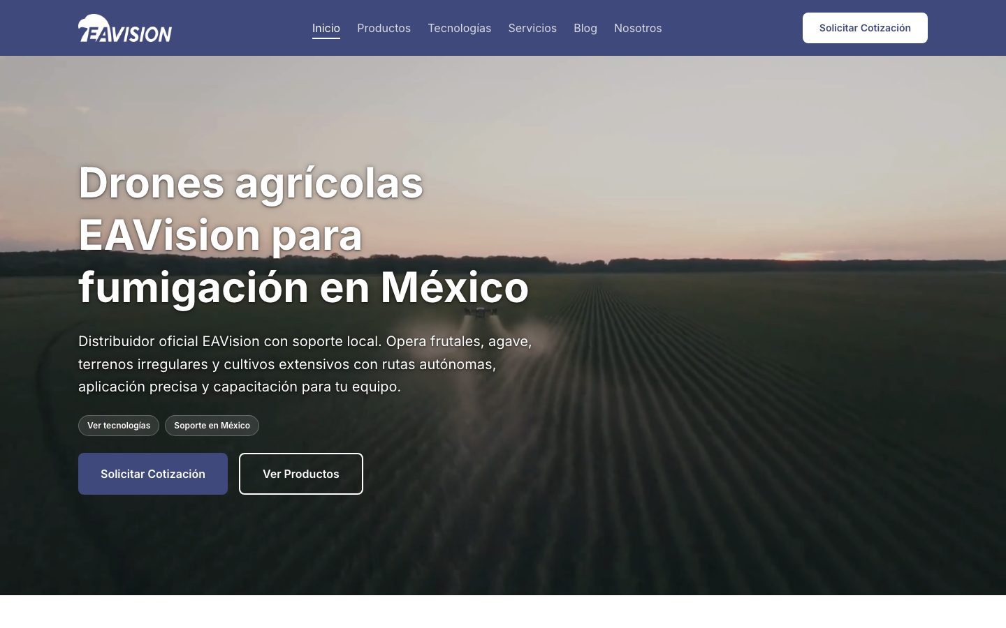 Screenshot of the EAVision México website